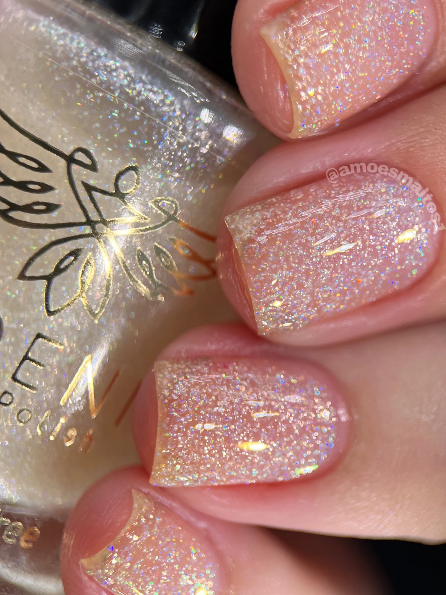 Phoenix- Elves- Garret