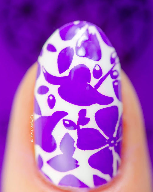 B. loves plates- Stamping Polish- BLP16 B. a Plum