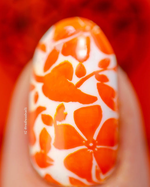 B. loves plates- Stamping Polish- BLP12 B. an Orange