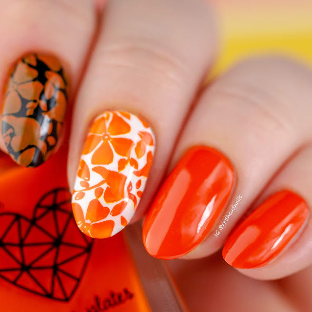 B. loves plates- Stamping Polish- BLP12 B. an Orange