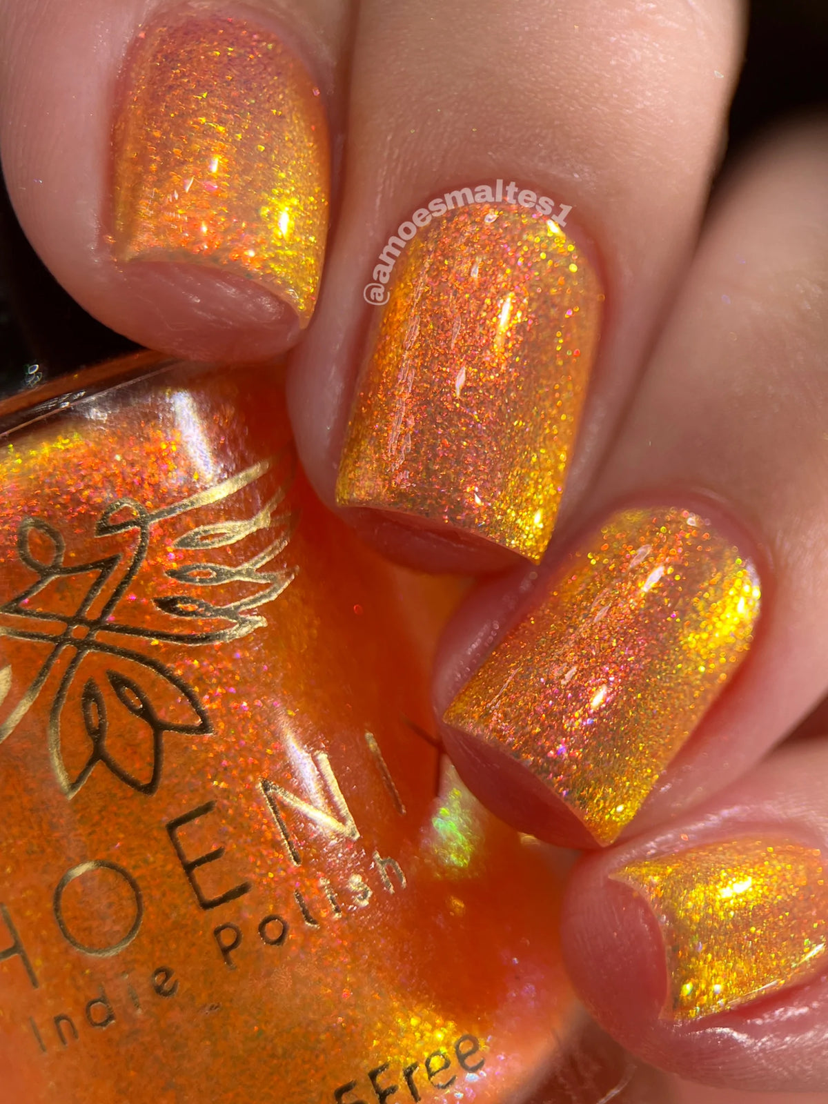 Phoenix- Elves- Logon