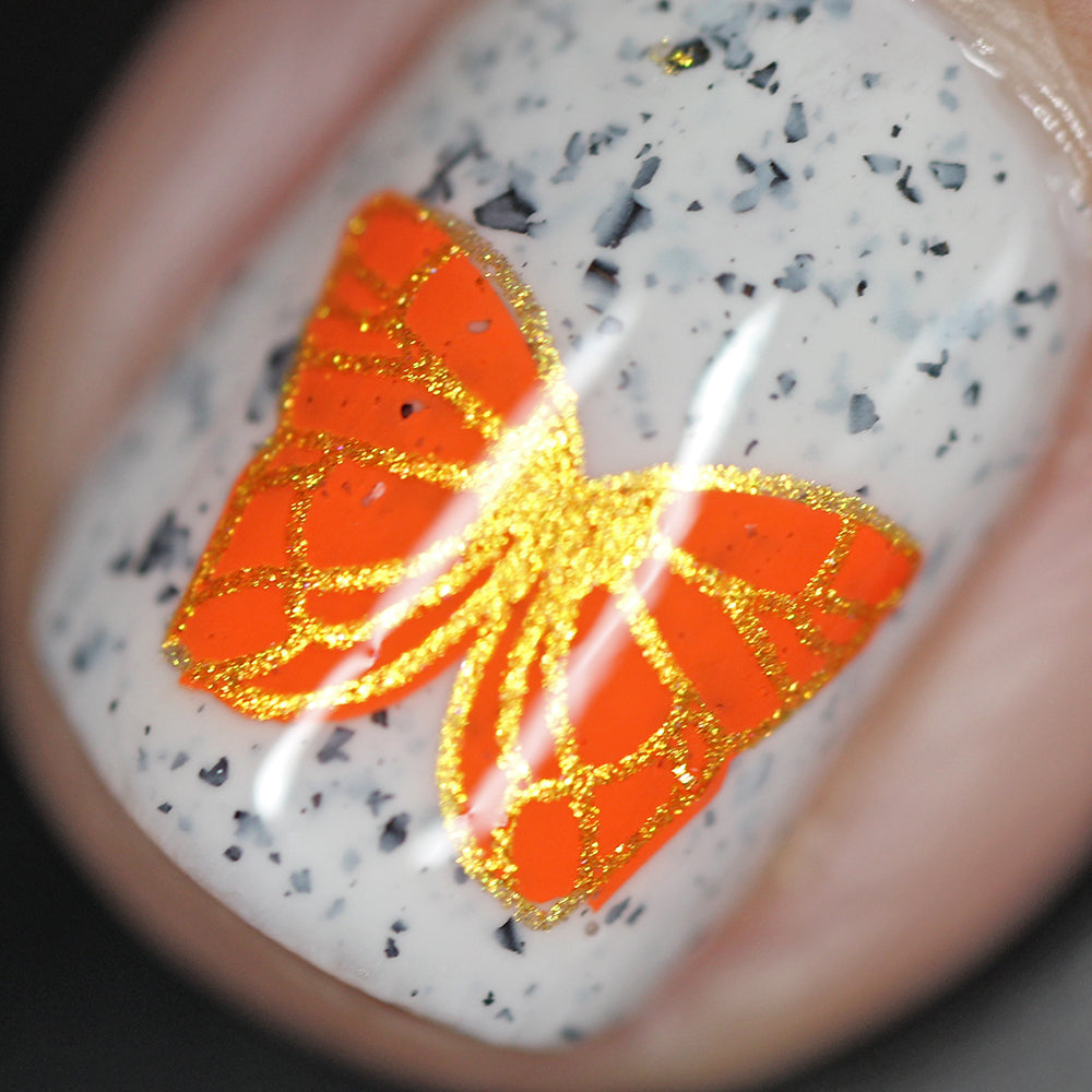 Beautometry Plates + &#39;Ard as Nails Polish Bundle