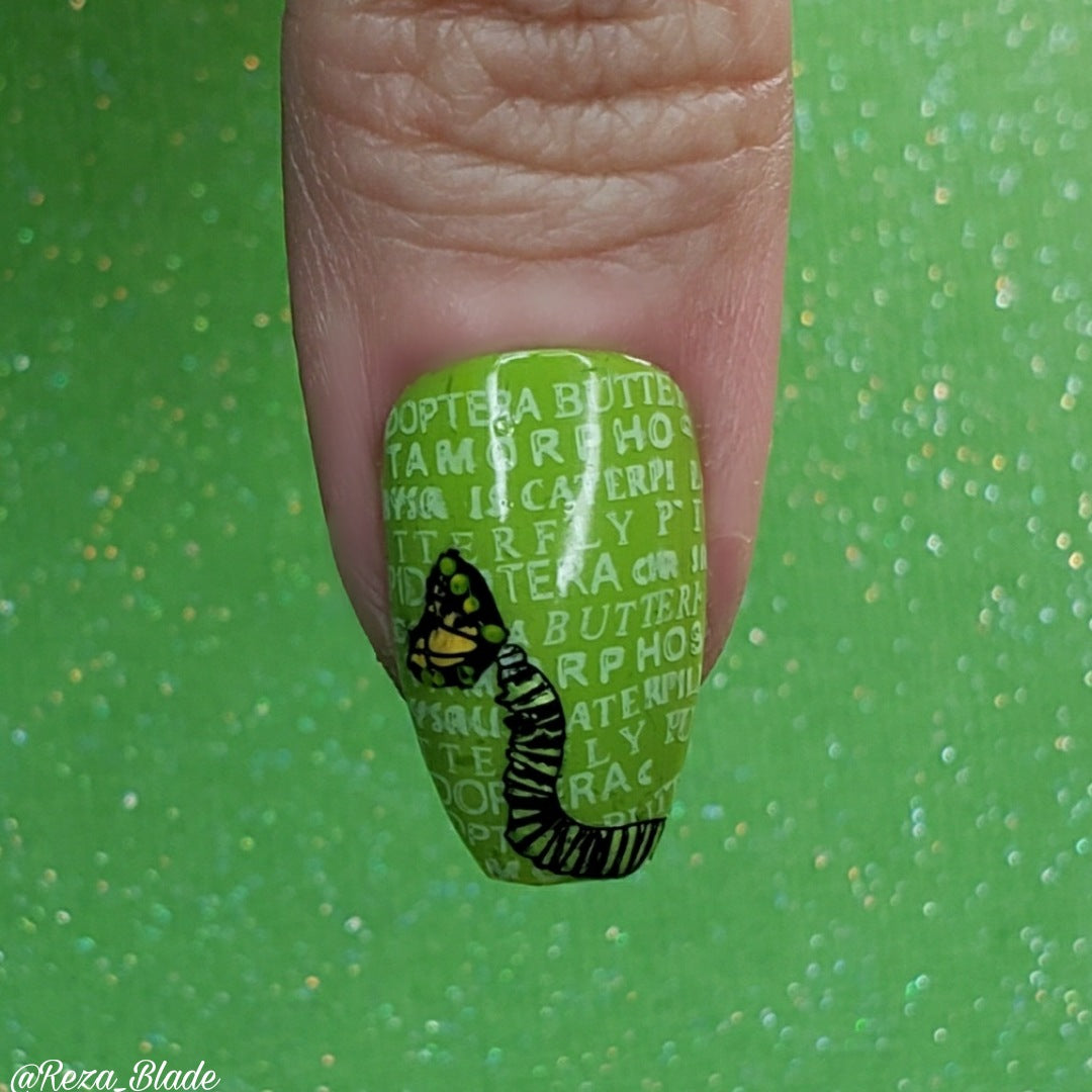 Beautometry- Stamping Plates- Butterfly 01