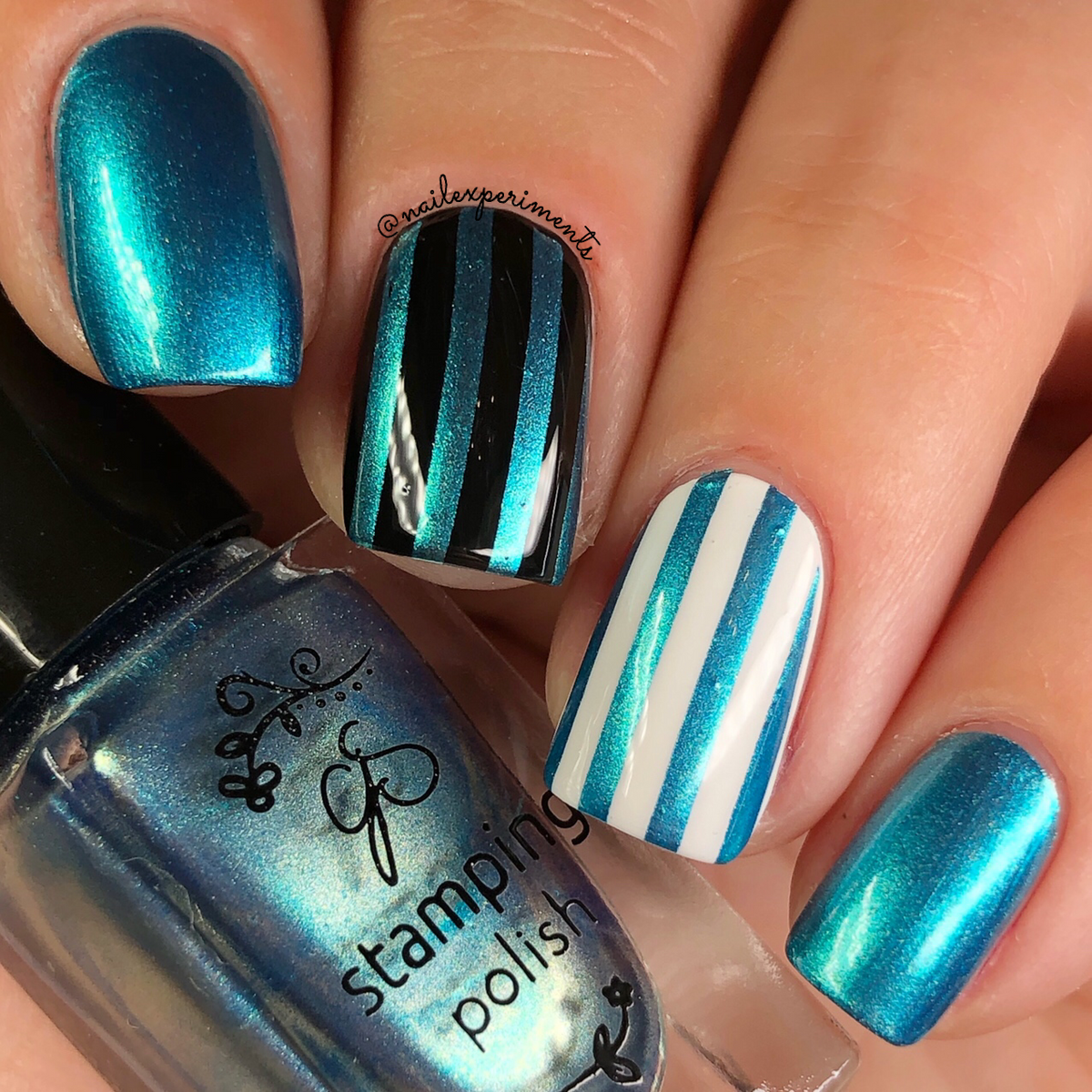 Clear Jelly Stamper- Stamping Polish- The Candy Shop Kit (7 colors)