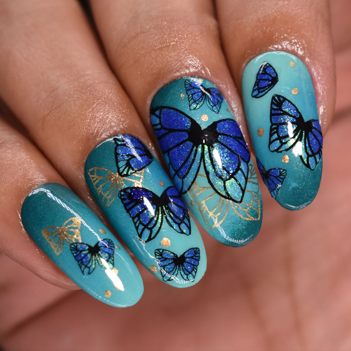 Beautometry- Stamping Plates- Butterfly 01