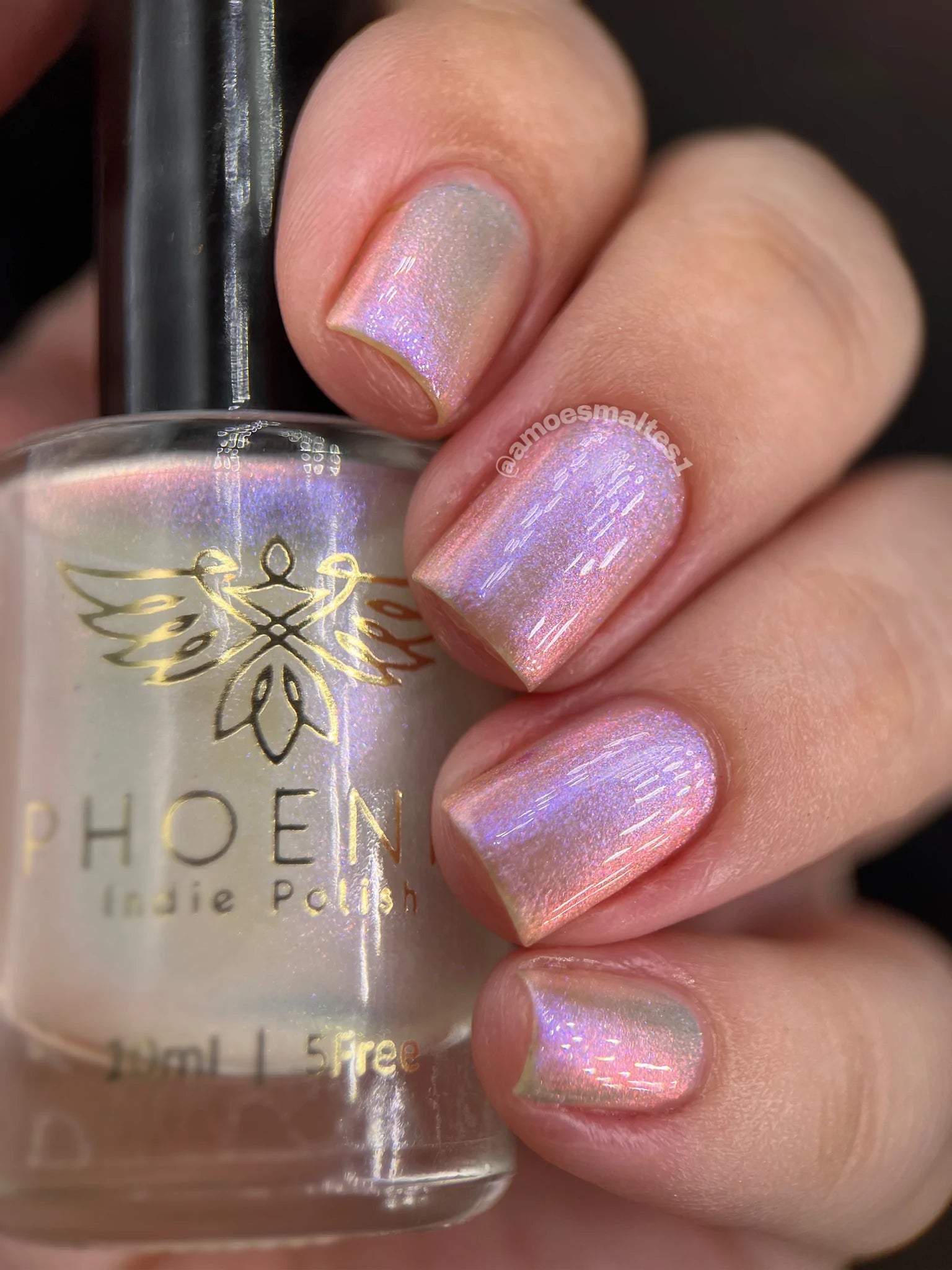 Phoenix- Elves- Arwen