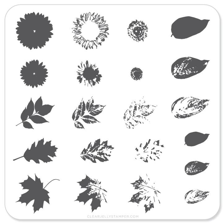 Clear Jelly Stamper- CjS-026- Sunflower & Leaves