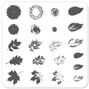 Clear Jelly Stamper- CjS-026- Sunflower & Leaves