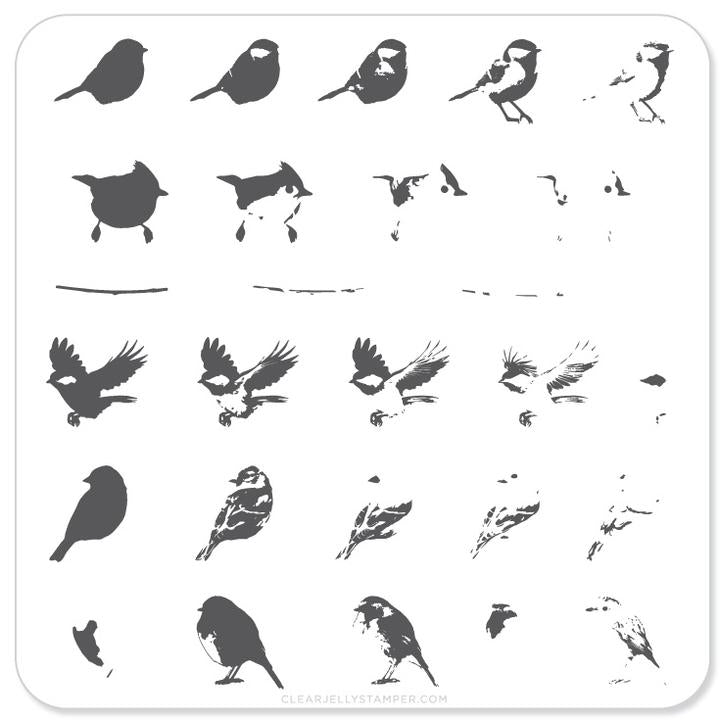 Clear Jelly Stamper- CjS-030- Itty Bitty Birds