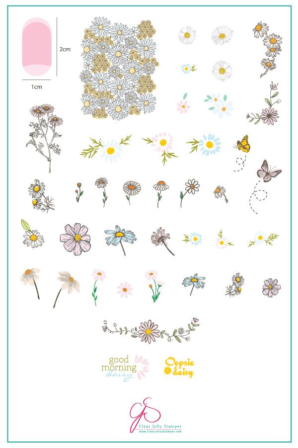 Clear Jelly Stamper- CjS-104- I Dream of Daisies