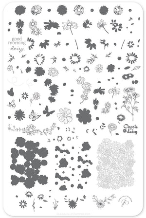 Clear Jelly Stamper- CjS-104- I Dream of Daisies