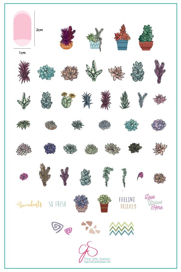 Clear Jelly Stamper- CjS-123- Oh So Succulent