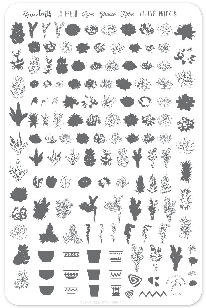 Clear Jelly Stamper- CjS-123- Oh So Succulent