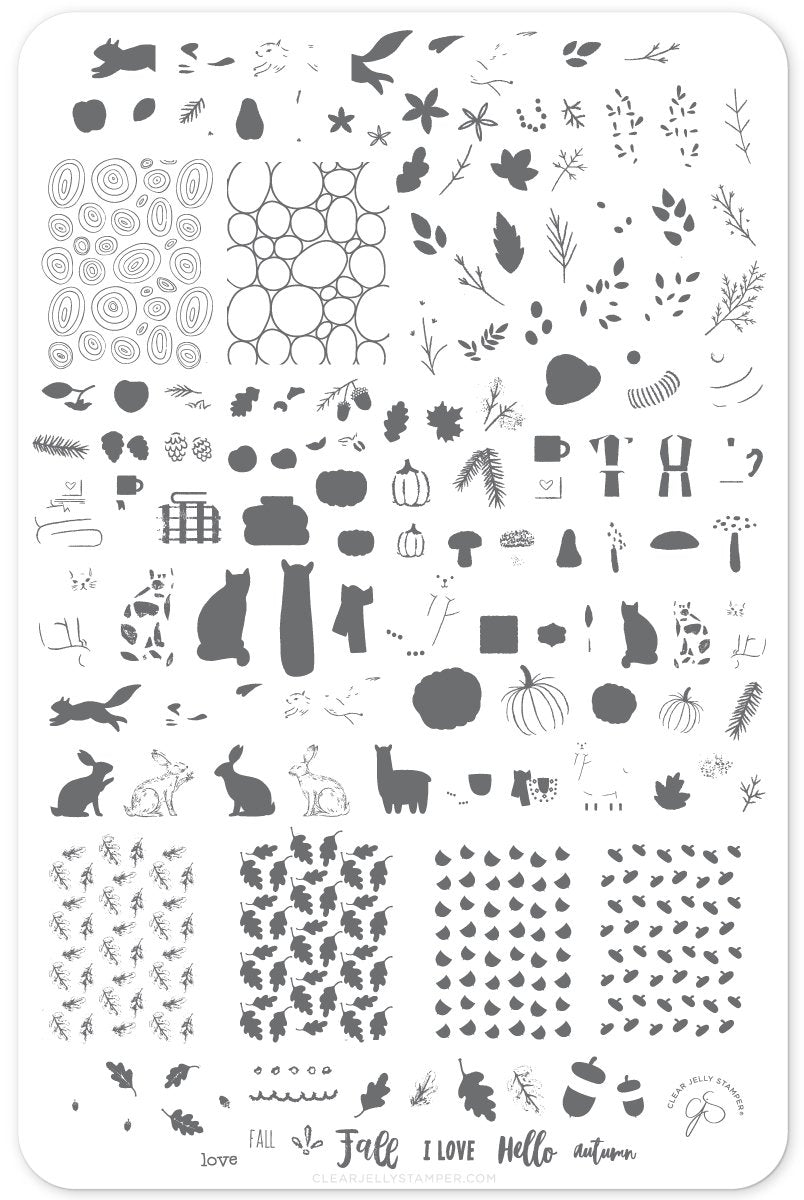 Clear Jelly Stamper- CjS-148- Autumn Acorns