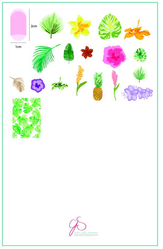 Clear Jelly Stamper- CjS-038- Tropical