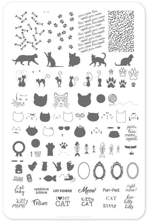 Clear Jelly Stamper- CjS-055- Here Kitty Kitty!
