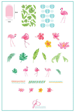 Clear Jelly Stamper- CjS-057- Fabulous Flamingo