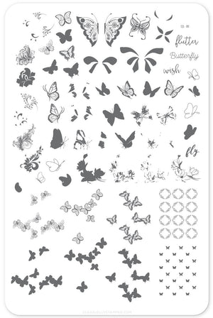 Clear Jelly Stamper- CjS-080- Butterfly Wishes