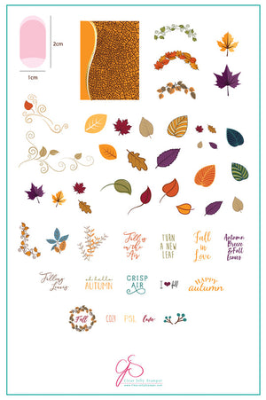 Clear Jelly Stamper- CjS-086- Forever Autumn