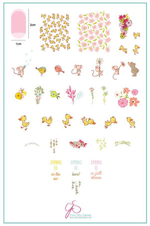 Clear Jelly Stamper- CjS-095- Spring is in the Air