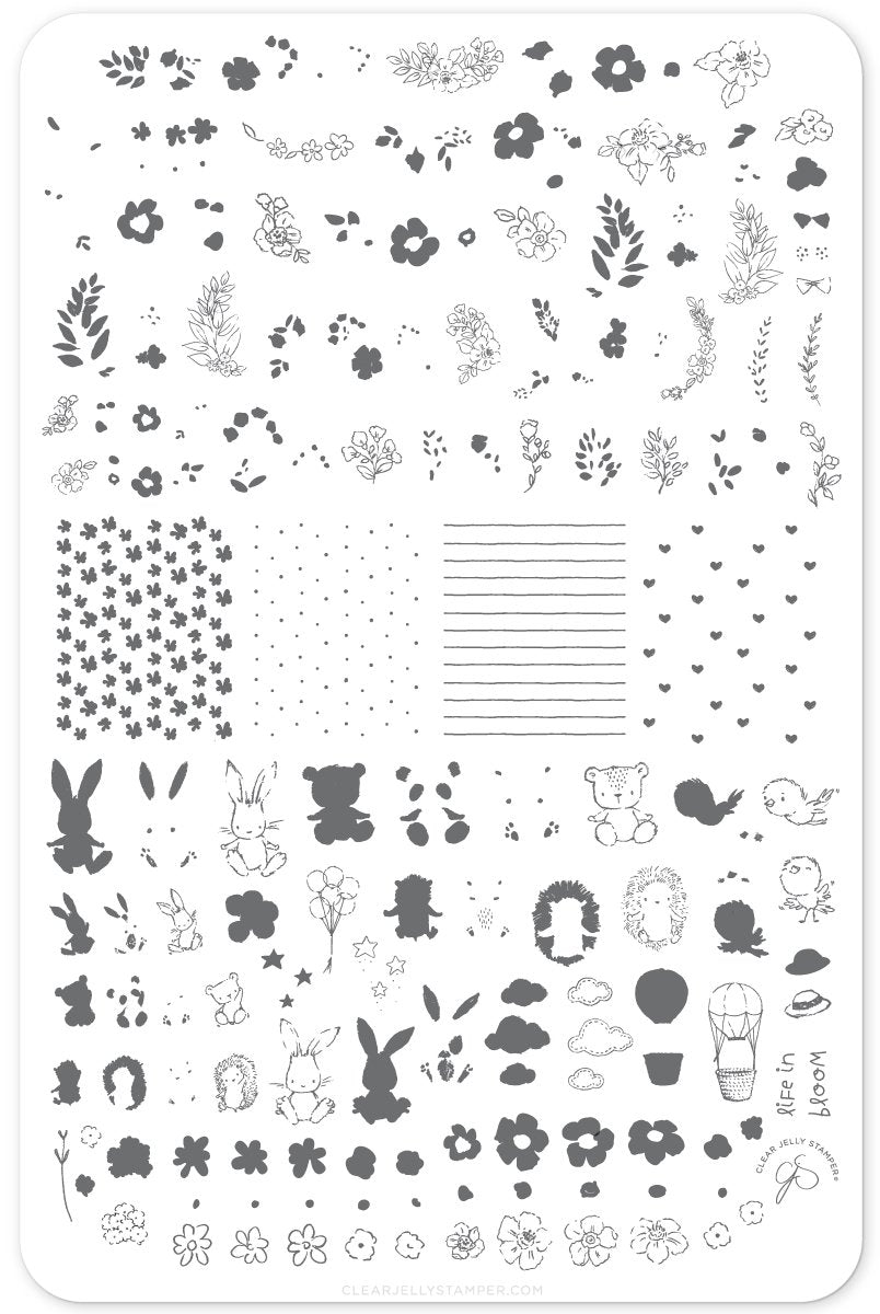 Clear Jelly Stamper- CjS-097- Life in Bloom