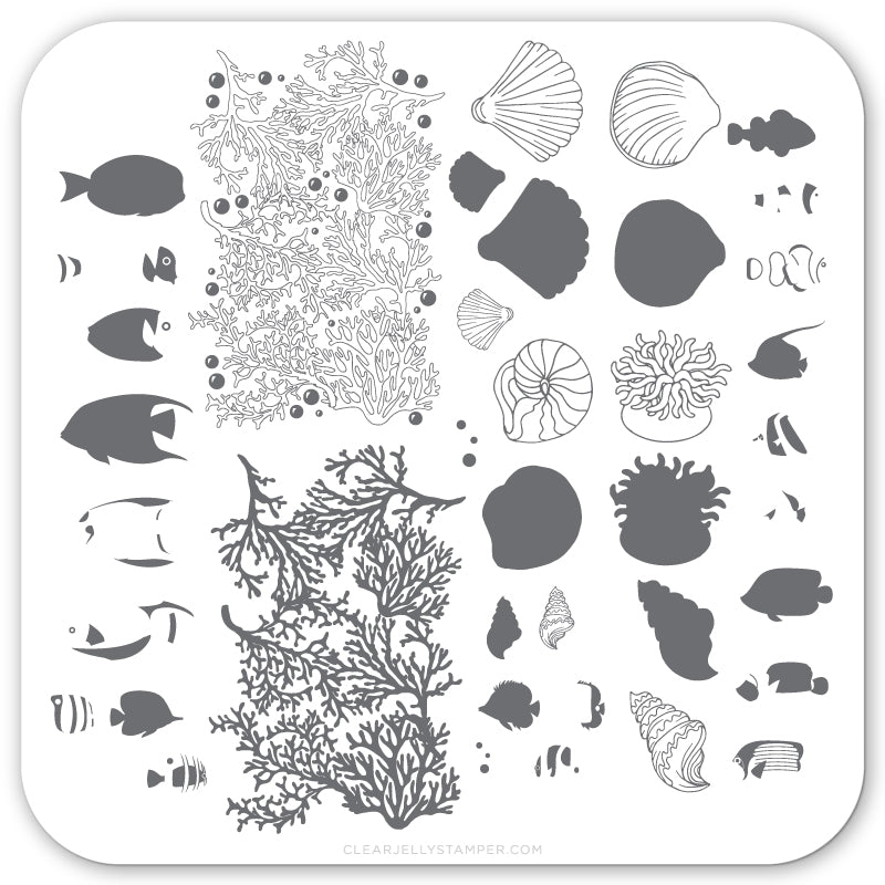 Clear Jelly Stamper- LC-49- Suzie's Tropical Fish
