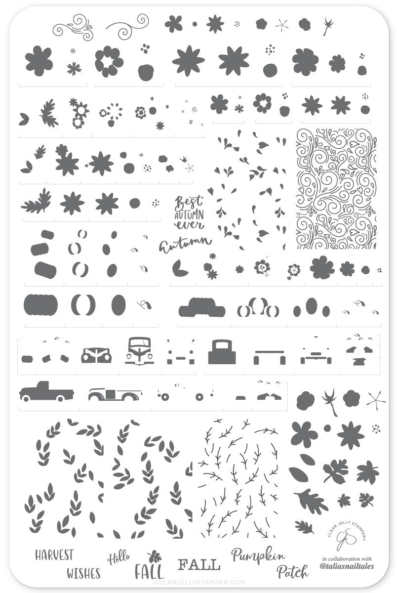 Clear Jelly Stamper- LC-57- Talia&#39;s Pumpkin Patch