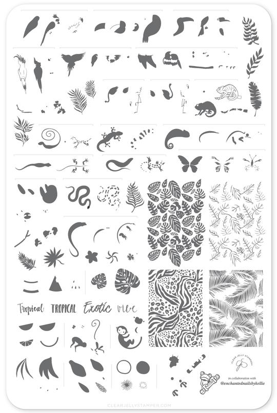 Clear Jelly Stamper- LC-58- Enchanted Tropics