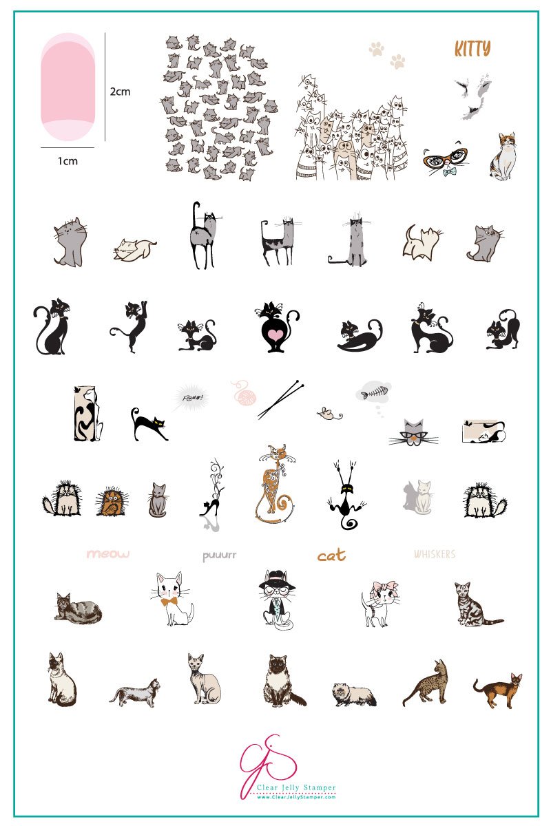 Clear Jelly Stamper- LC-75- Purrr-fect!