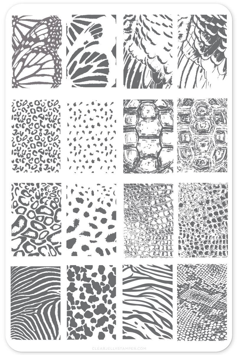 Clear Jelly Stamper- CjS-077- Texture Essentials- Wild Kingdom