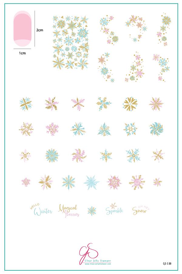Clear Jelly Stamper- C-30- Painted Snowflakes