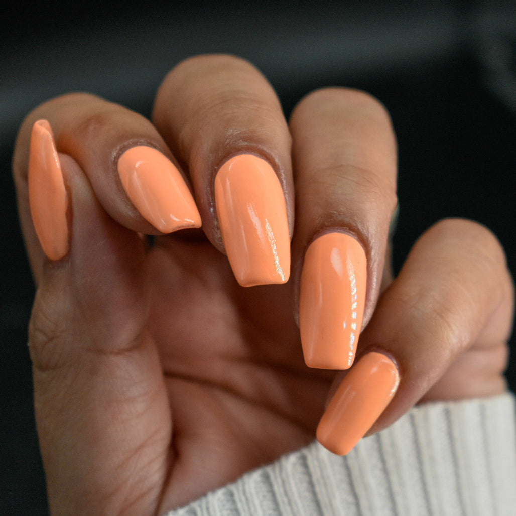 Hit the Bottle- Follow Your Dreams- Dreamsicle