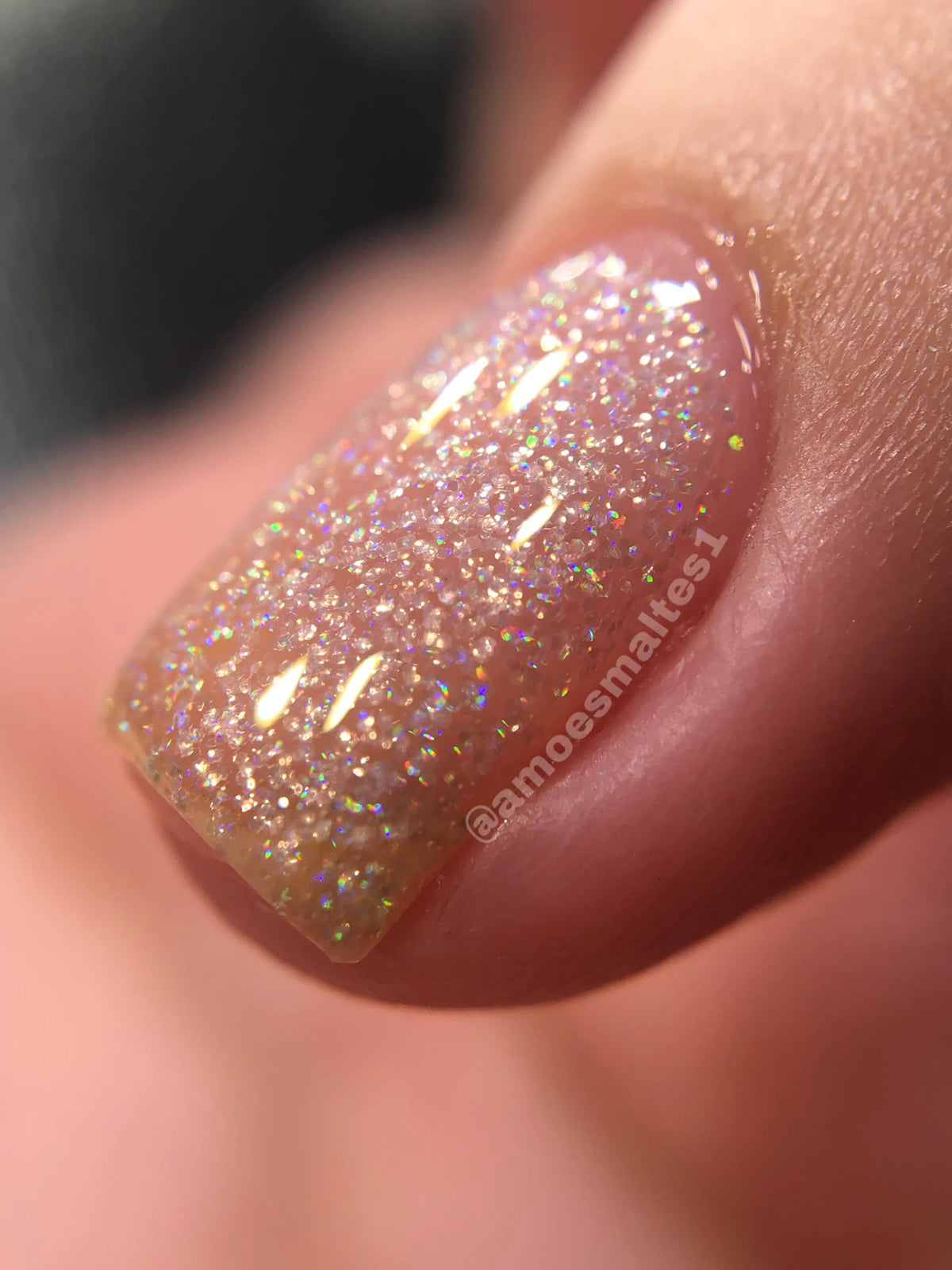 Phoenix- Elves- Garret