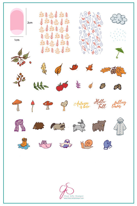 Clear Jelly Stamper- LC-24- Hello Fall!