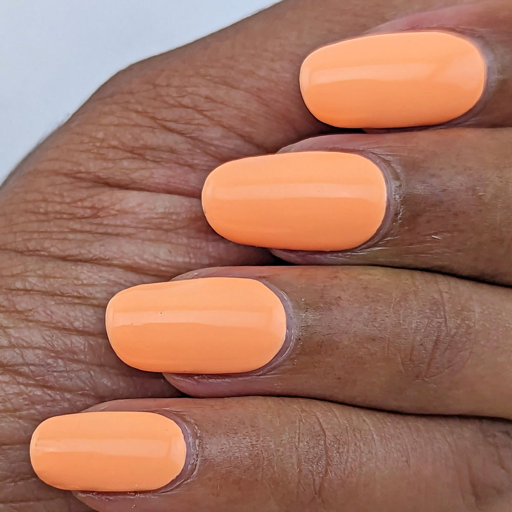 Hit the Bottle- Follow Your Dreams- Dreamsicle