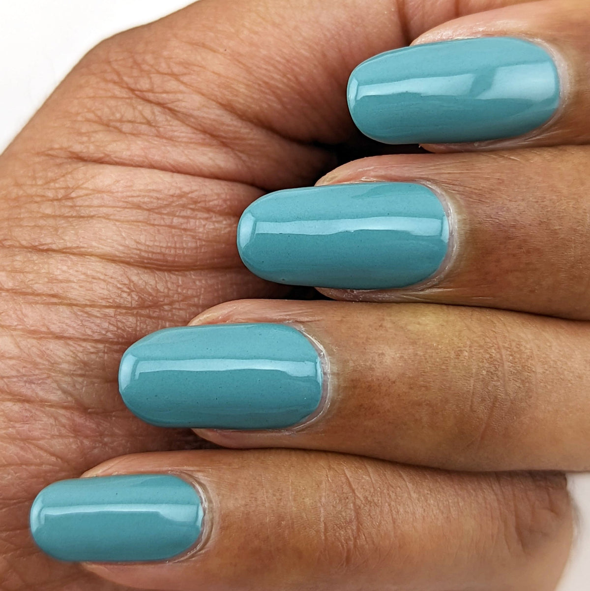 Hit the Bottle- Roads less Travelled- Hamelin Pool