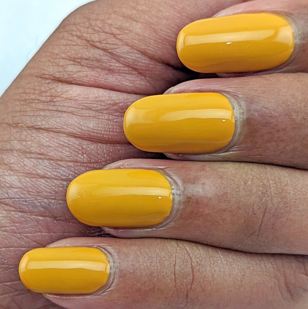 Hit the Bottle- Roads less Travelled- Pinnacles Desert