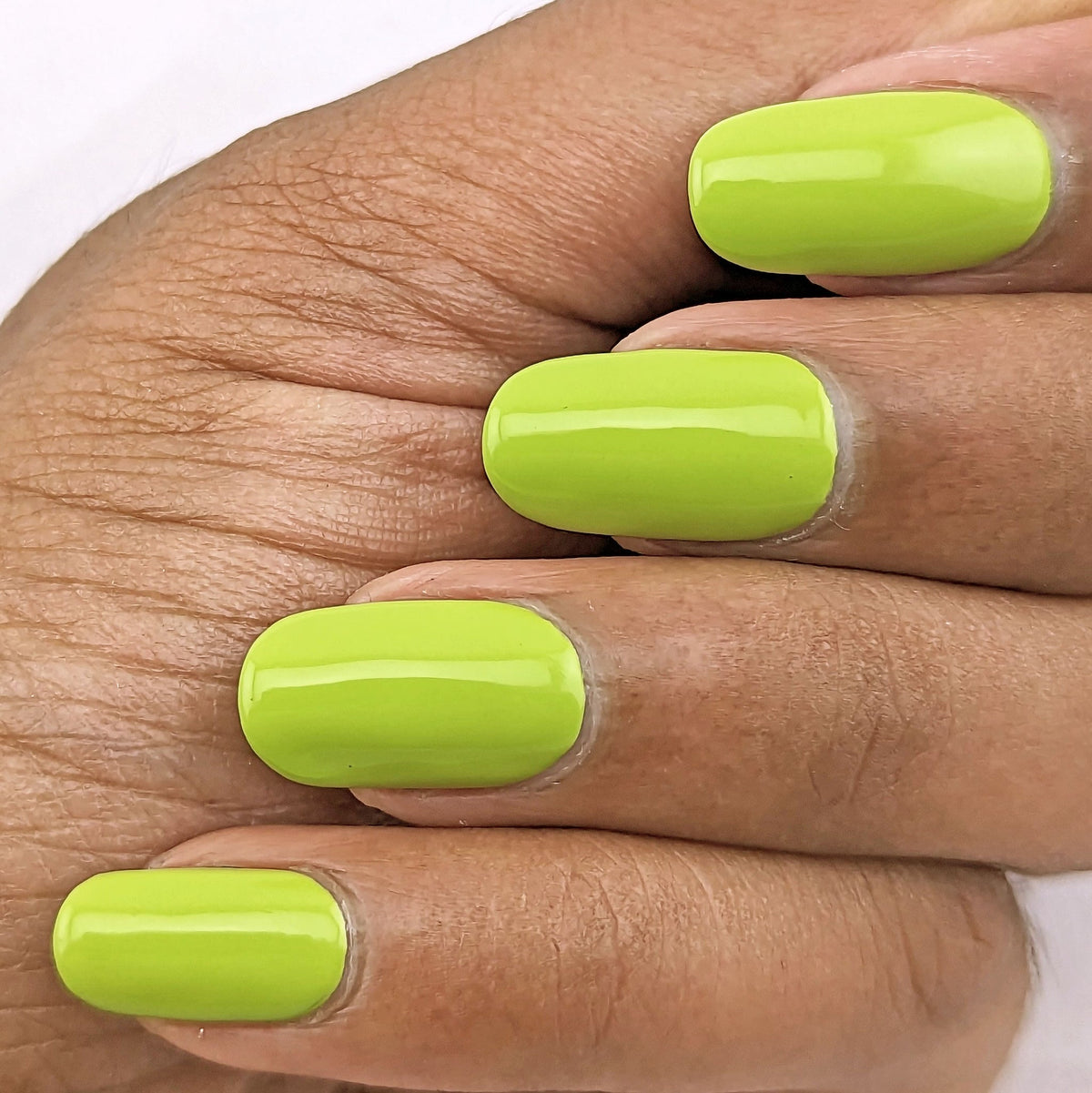 Hit the Bottle- Roads less Travelled- Sherbrooke Forest