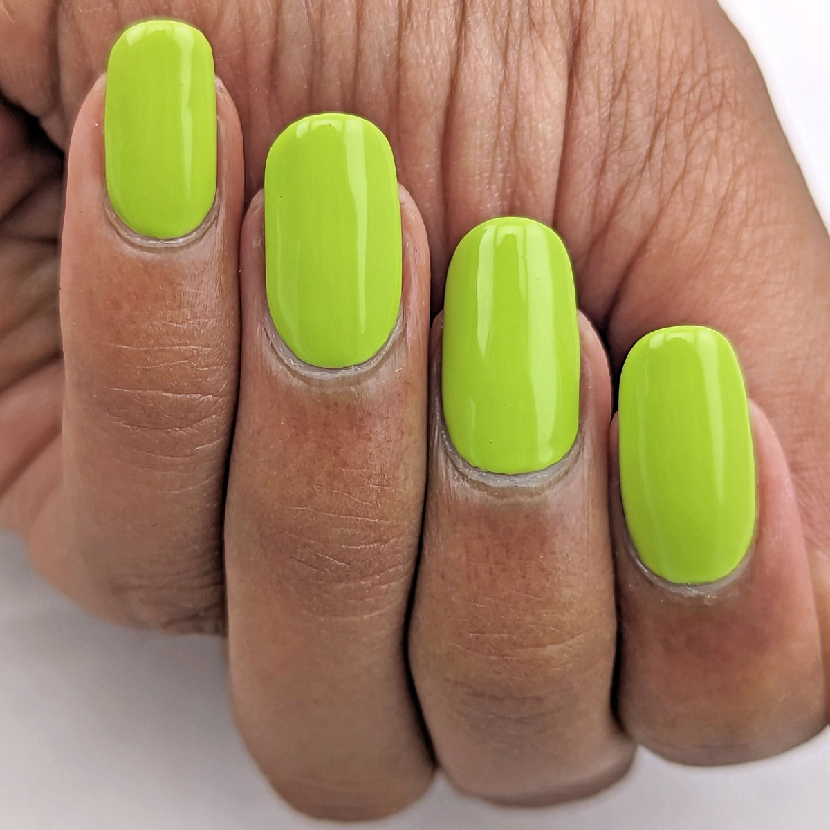 Hit the Bottle- Roads less Travelled- Sherbrooke Forest