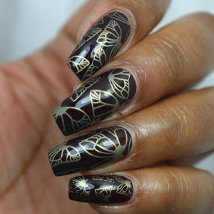 Beautometry Plates + 'Ard as Nails Polish Bundle