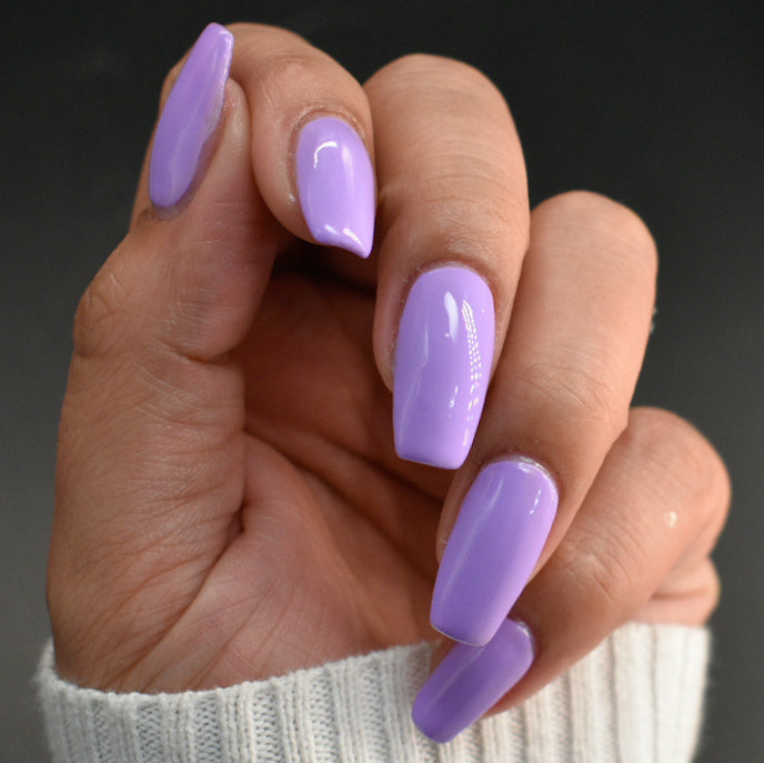 Hit the Bottle- Follow Your Dreams- Lilac Lullaby