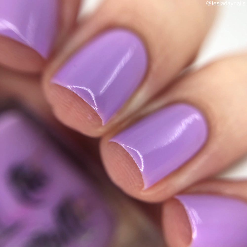 Hit the Bottle- Follow Your Dreams- Lilac Lullaby