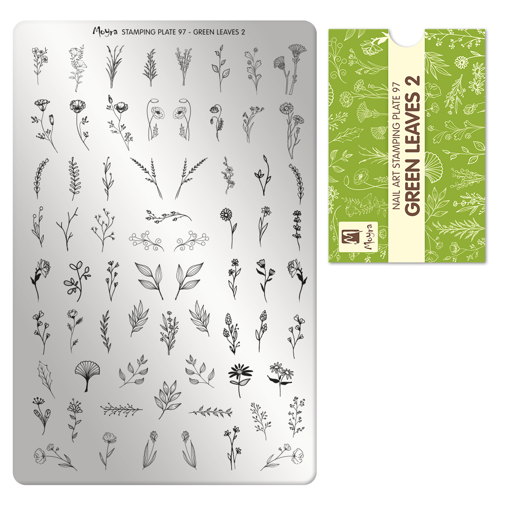Moyra Stamping Plate 097- Green Leaves 2