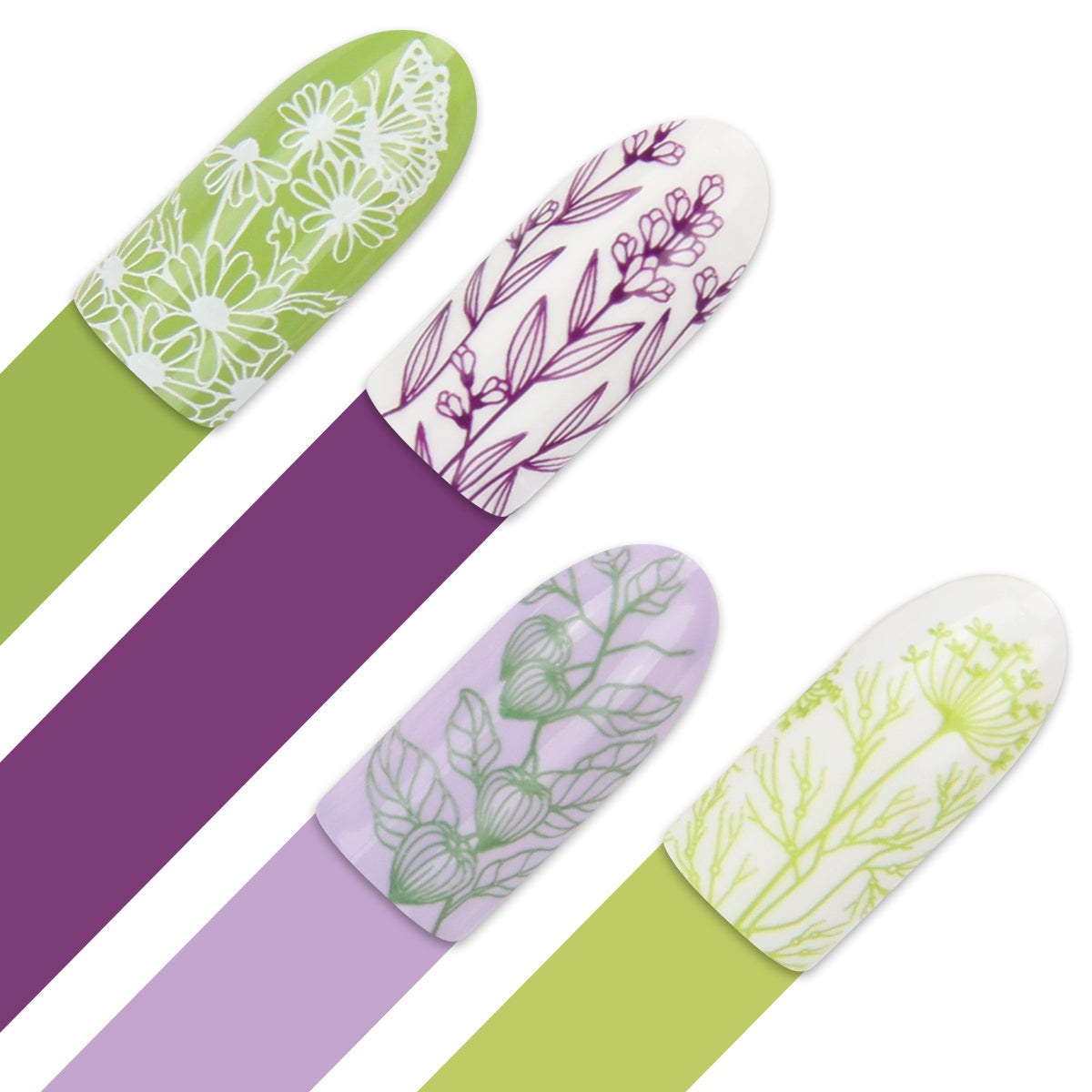 Moyra Stamping Plate 091- Spicery