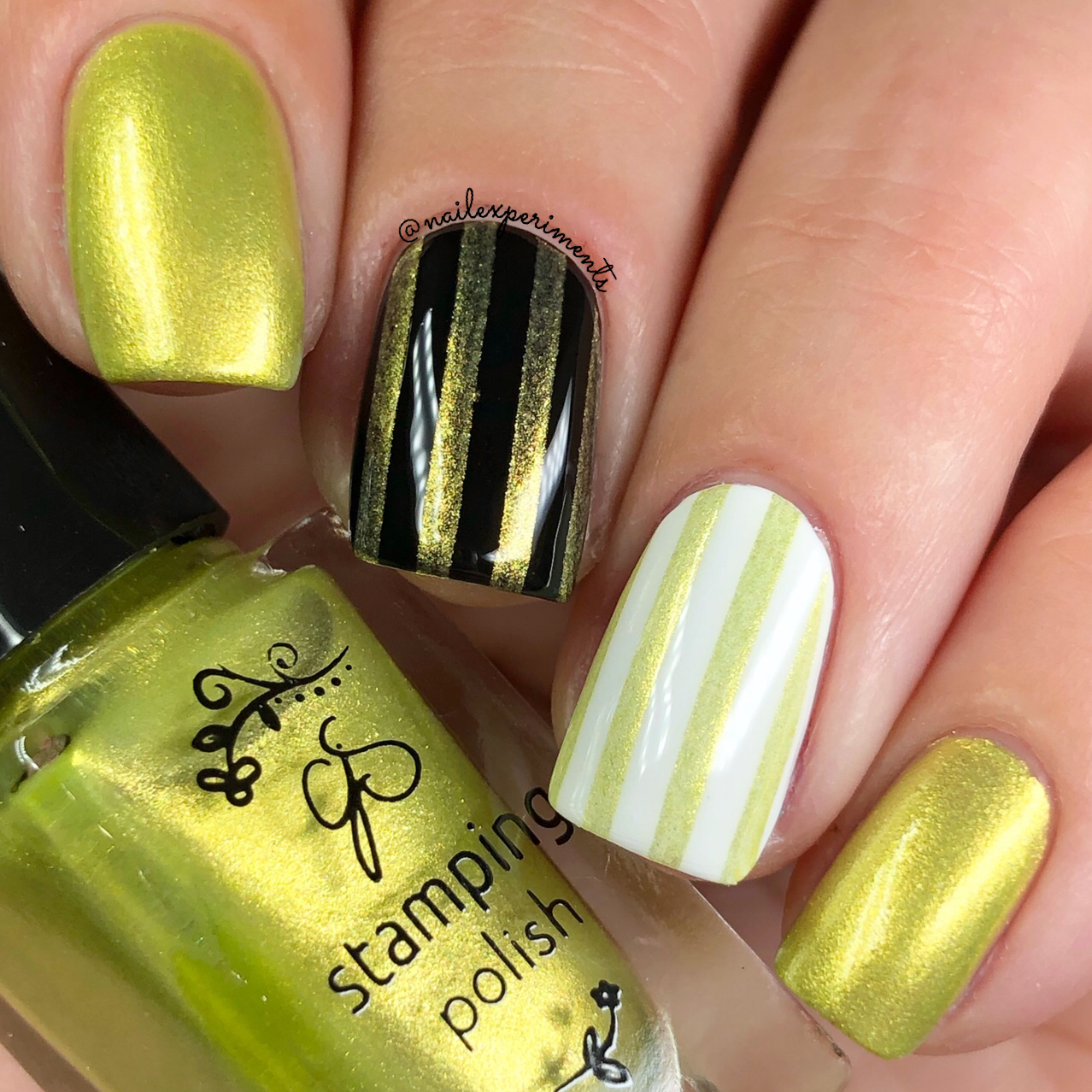 Clear jelly online stampers