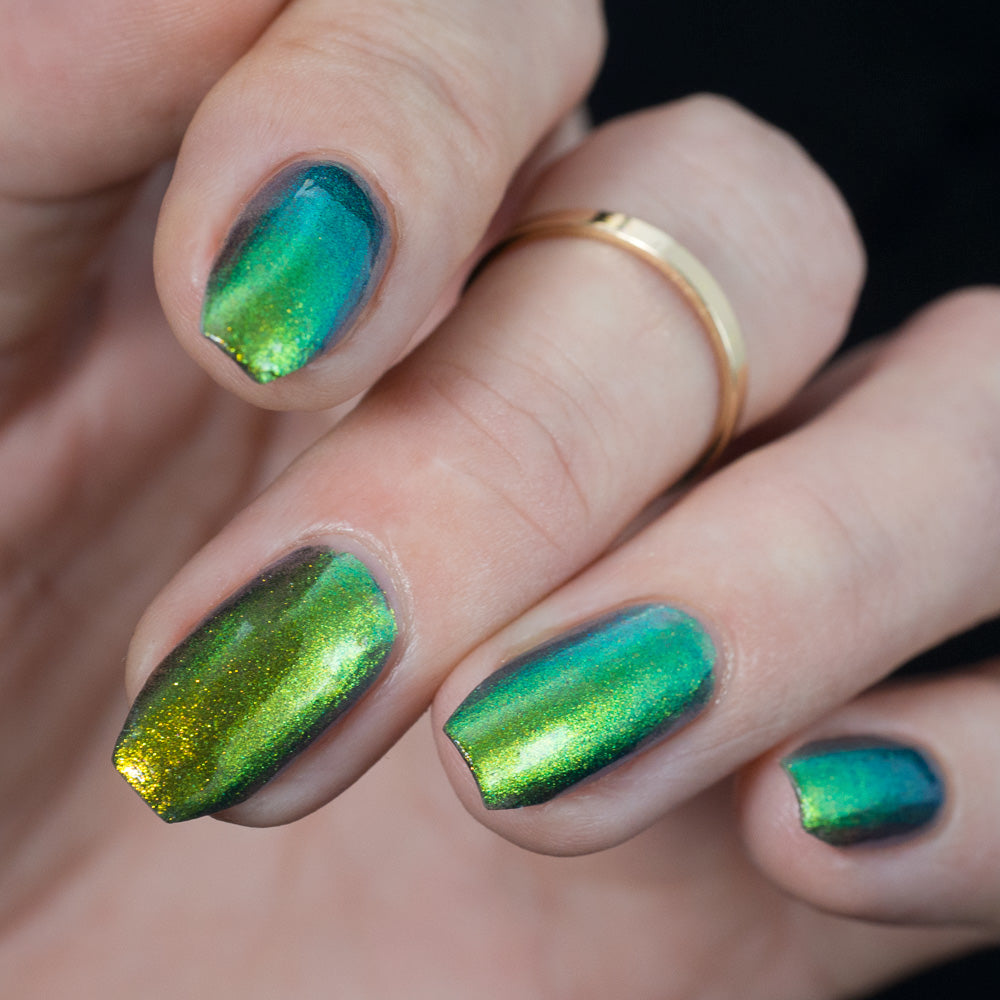 Hit the Bottle- Shadeshifters- Swimming with Sirens