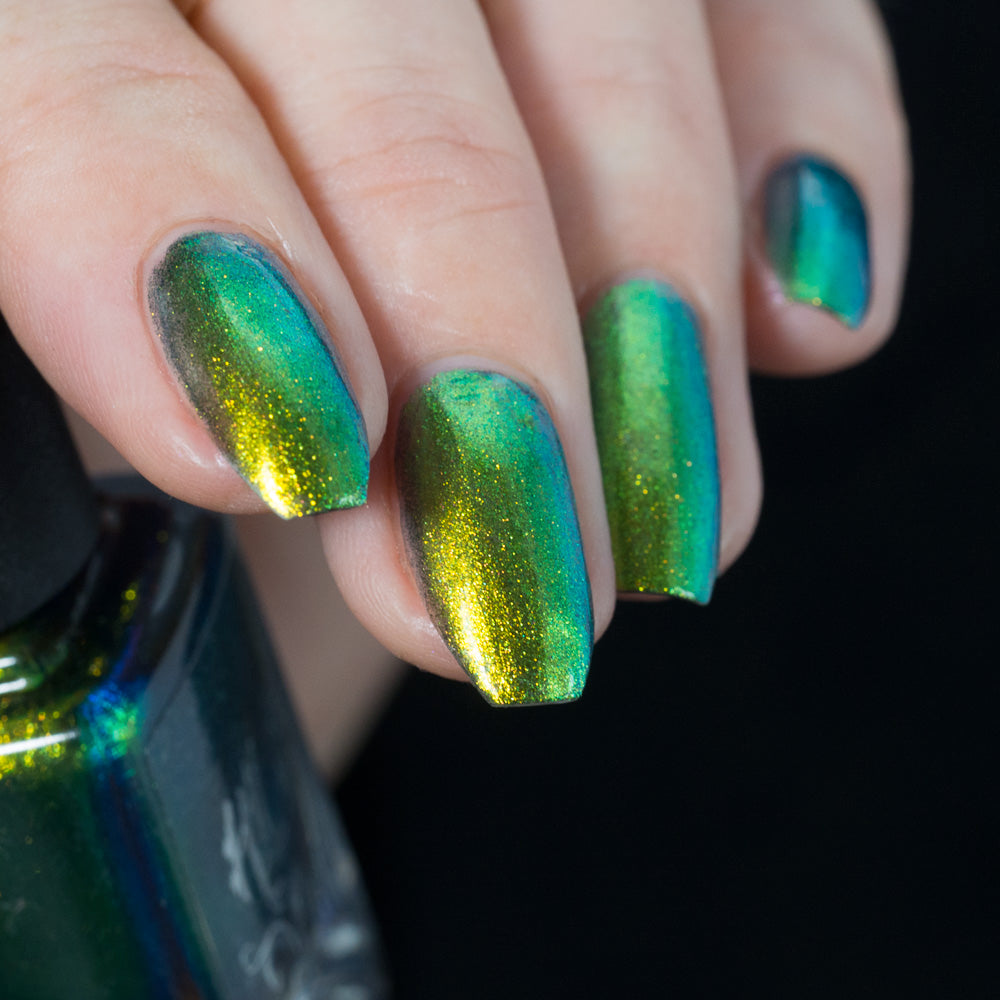 Hit the Bottle- Shadeshifters- Swimming with Sirens