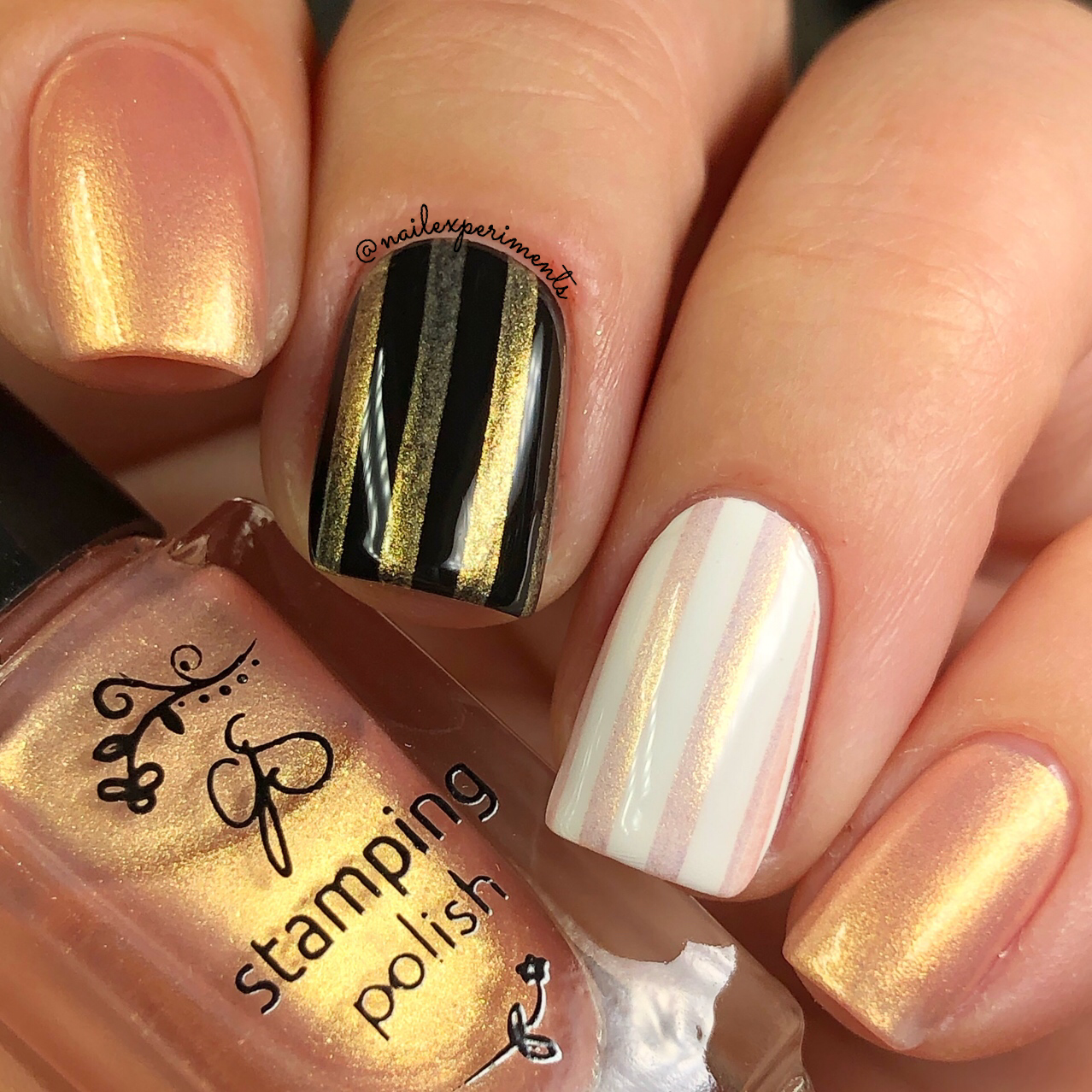 Clear Jelly Stamper- Stamping Polish- The Candy Shop Kit (7 colors)
