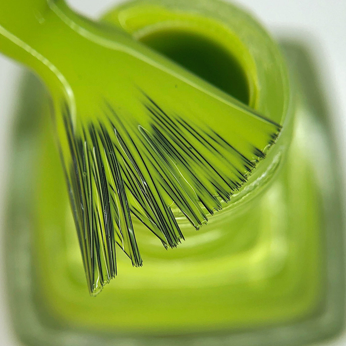 Hit the Bottle- Roads less Travelled- Sherbrooke Forest