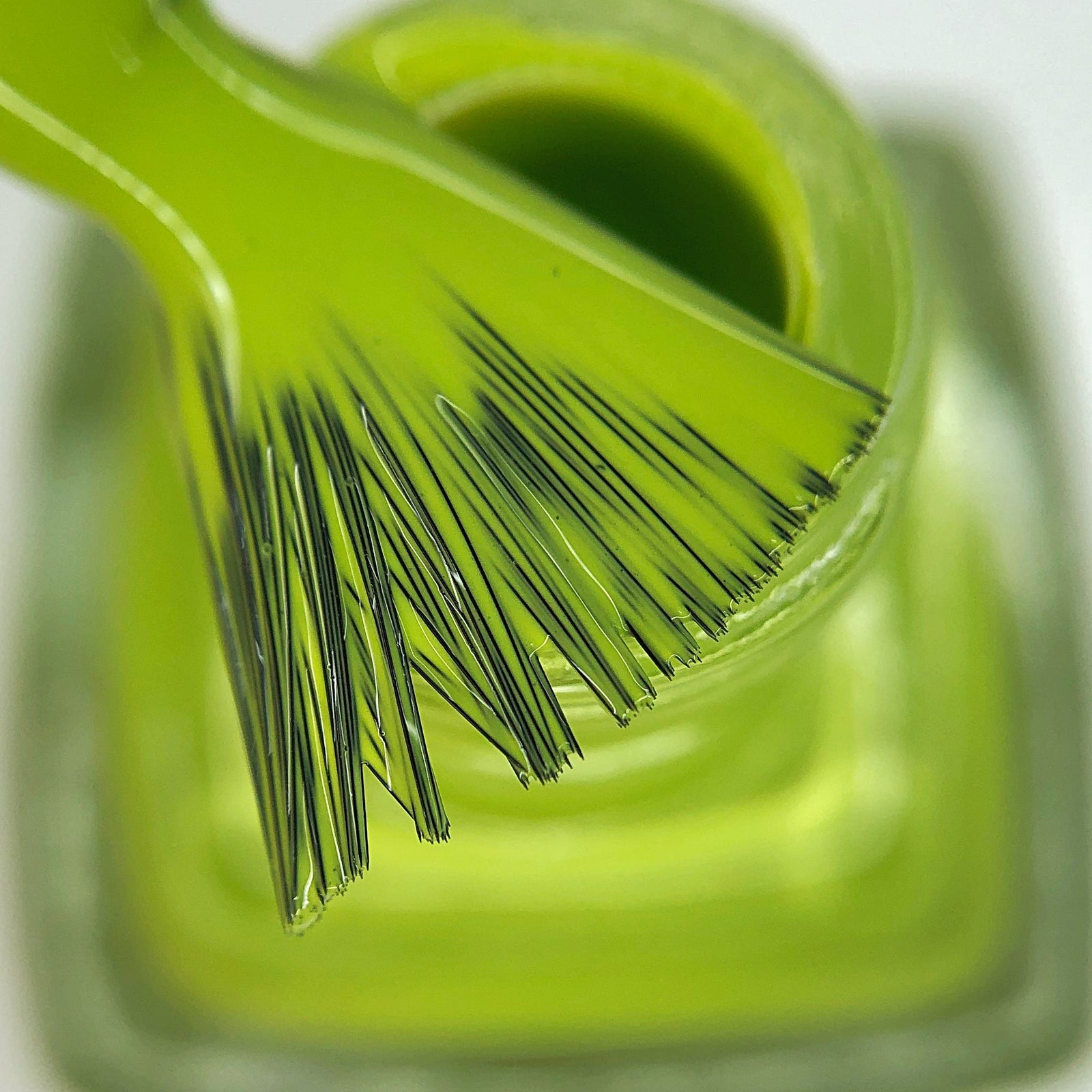 Hit the Bottle- Roads less Travelled- Sherbrooke Forest